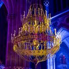 Light-Creation-Votivk_024