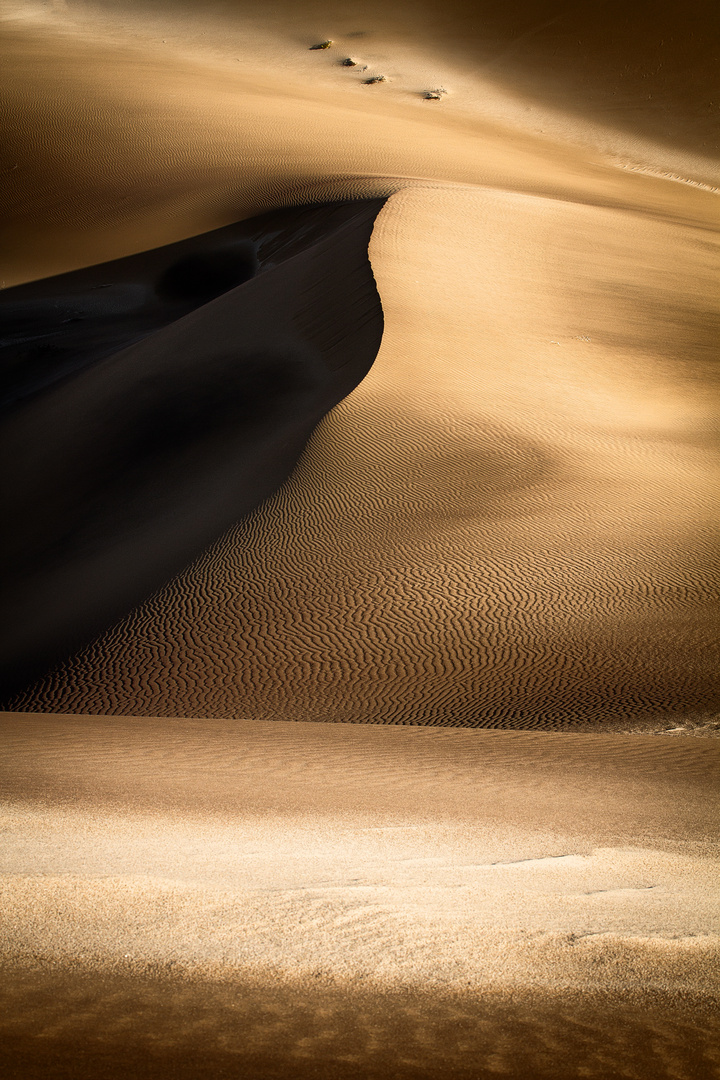 Light, Curves and Dunes