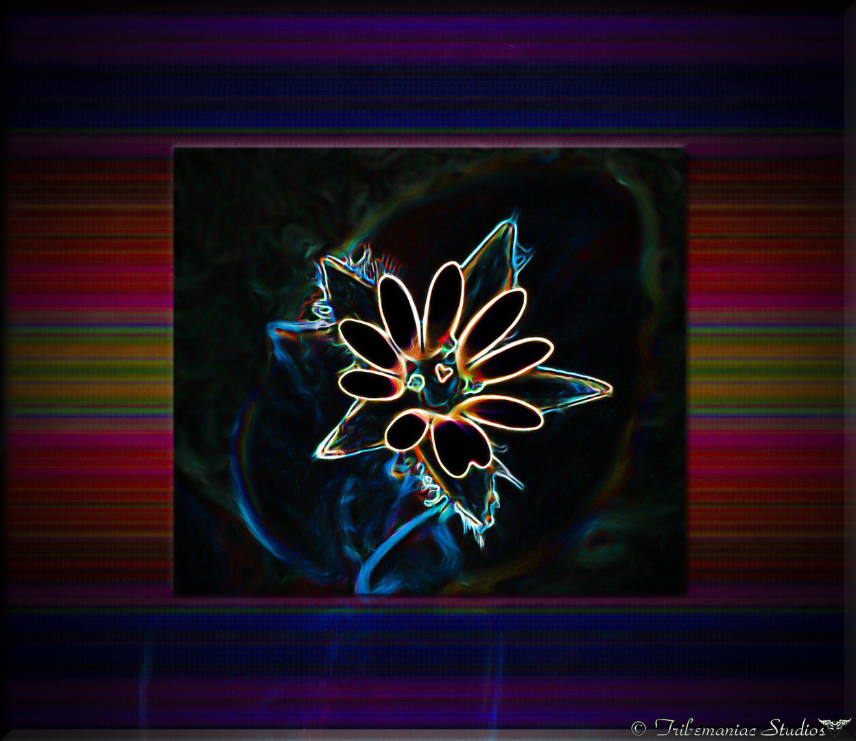 Light Flower