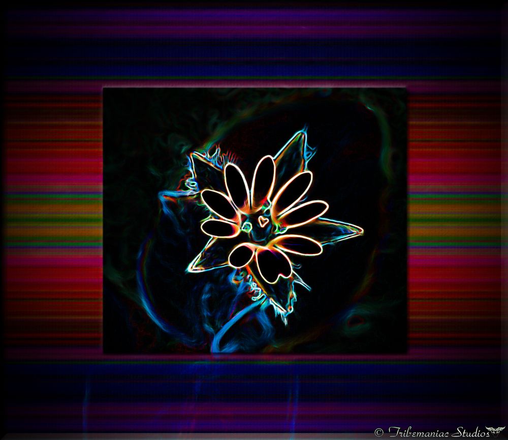 Light Flower