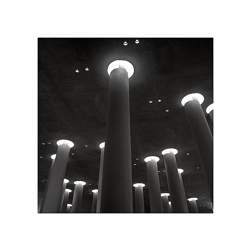 Light from the Concrete Columns