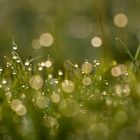 light in drops