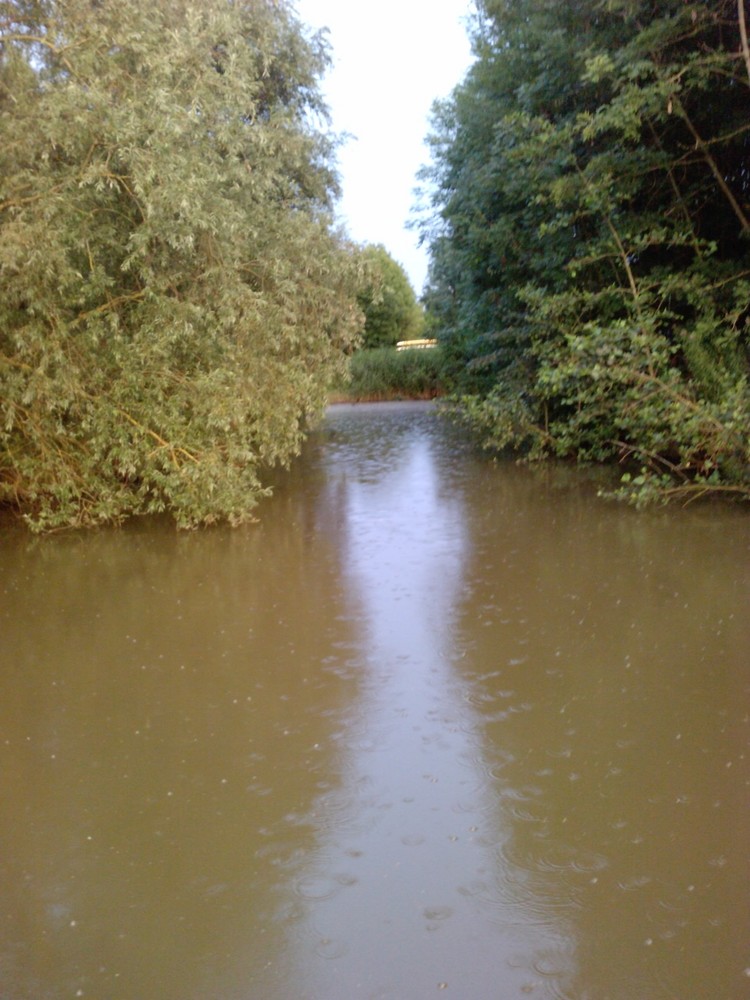 light in the water and between the trees. and little bit raining