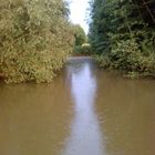 light in the water and between the trees. and little bit raining