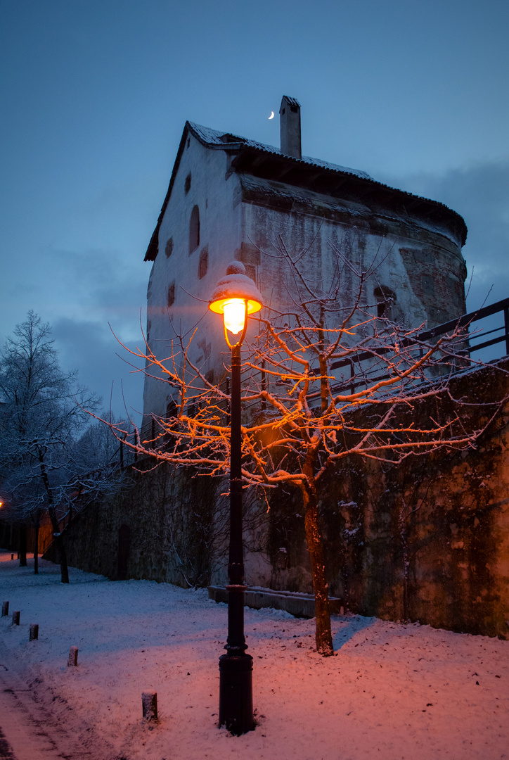 Light in winter