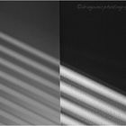 Light Lines 