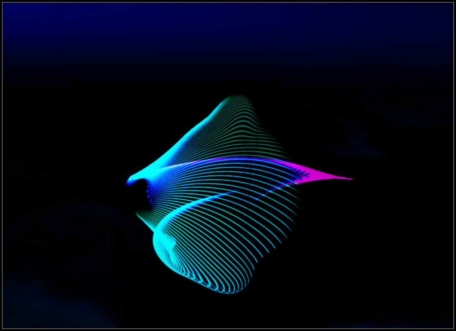 Light-Manta Ray