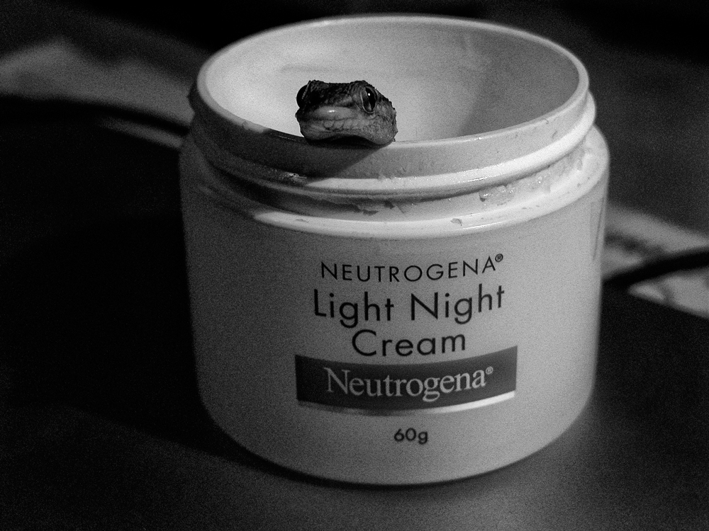 LIGHT NIGHT CREAM WITH GEKO.....