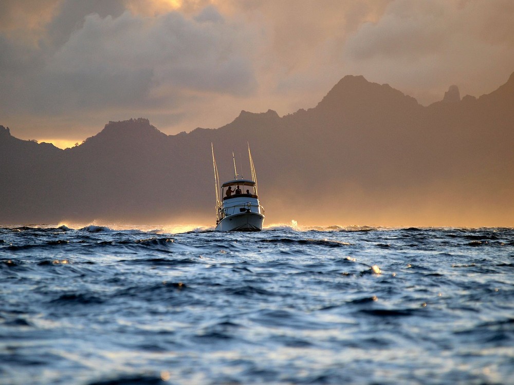 light off moorea...