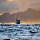 light off moorea...