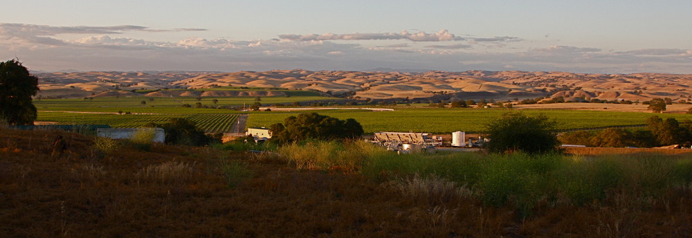 Light on the Hills