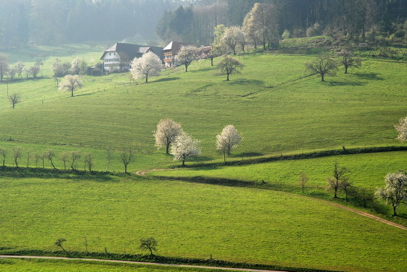 light on the mountainside