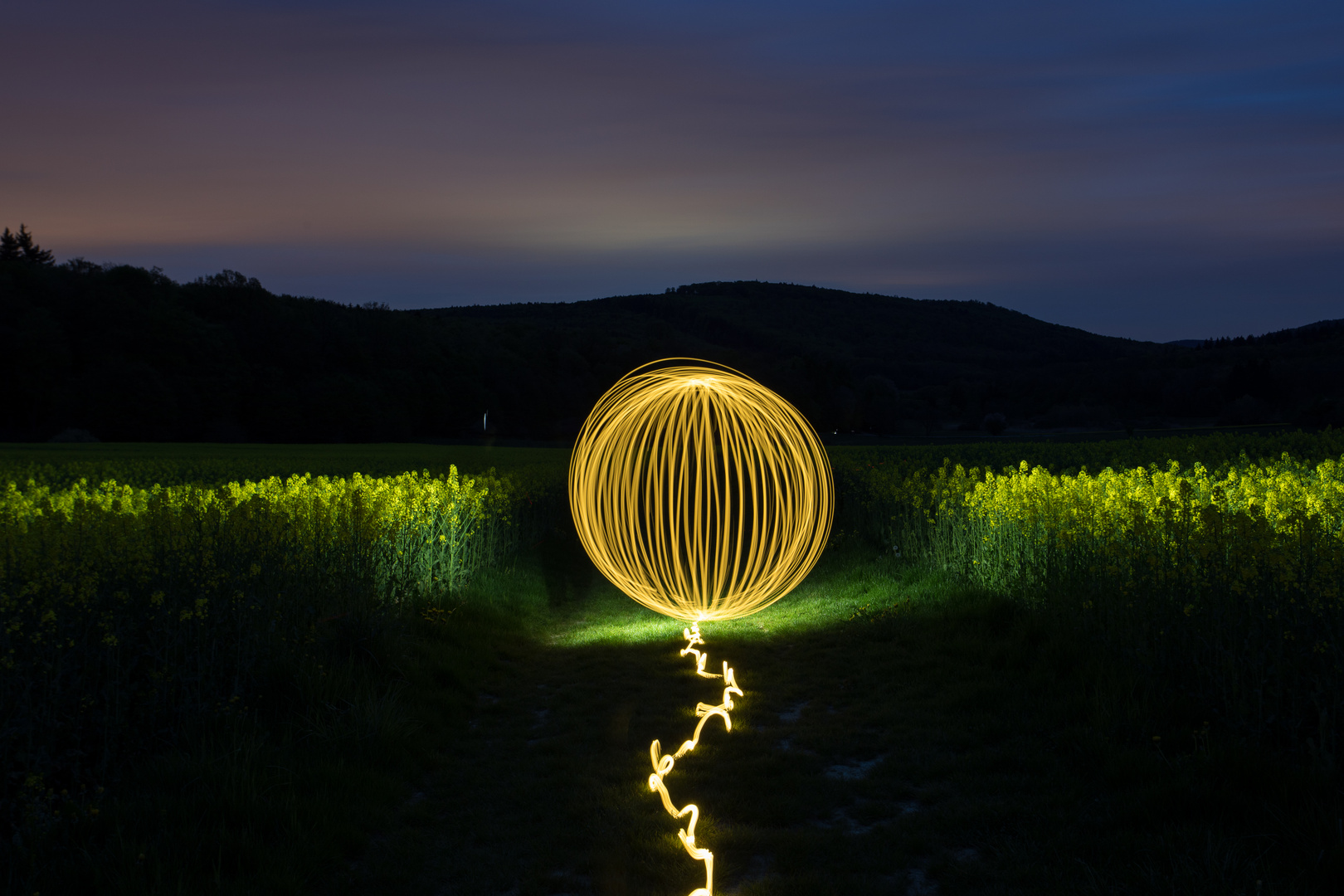 Light-Orb im Rapsfeld