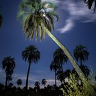 Light Painting