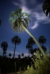 Light Painting