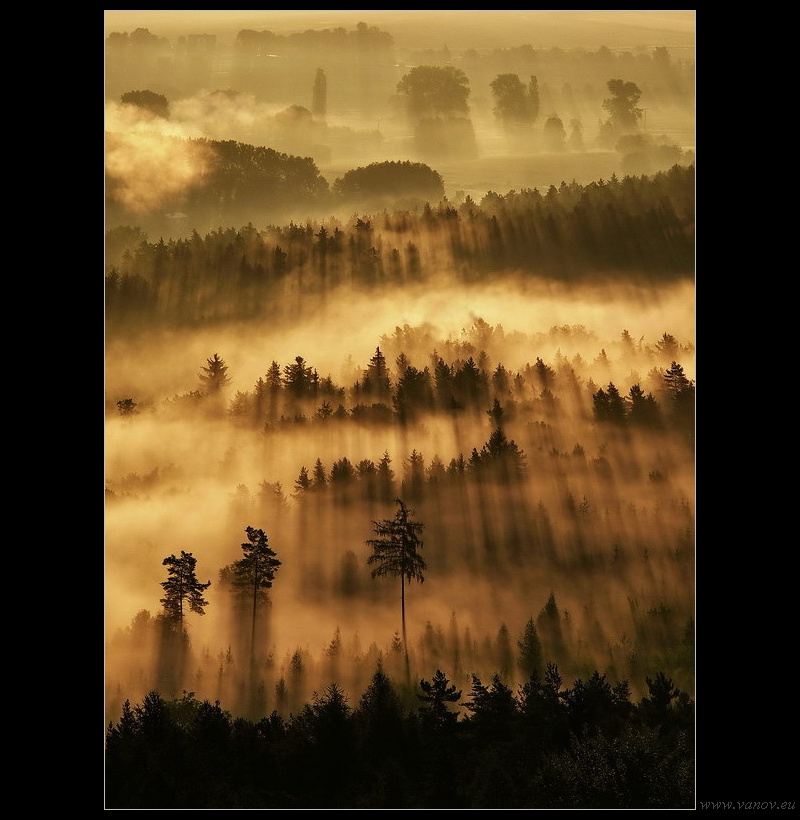 Light rays