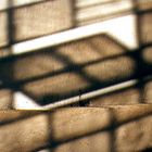 Light & Shadow