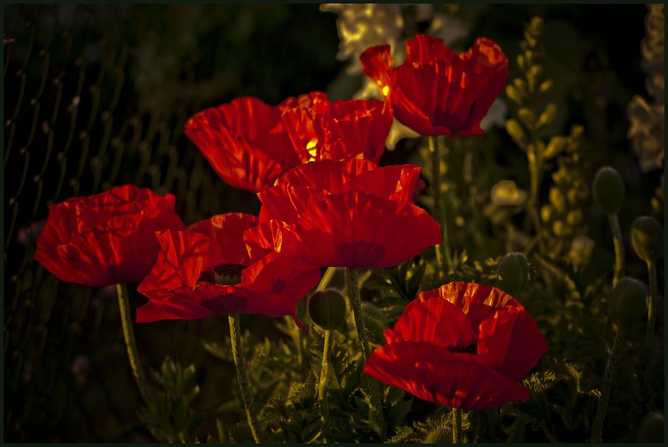 light shining in red ...