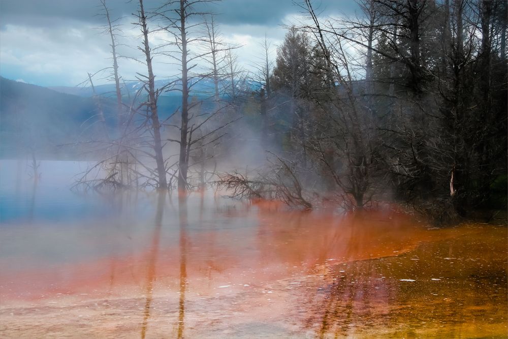 Light sphere, Mammoth Hot Springs.