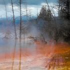 Light sphere, Mammoth Hot Springs.