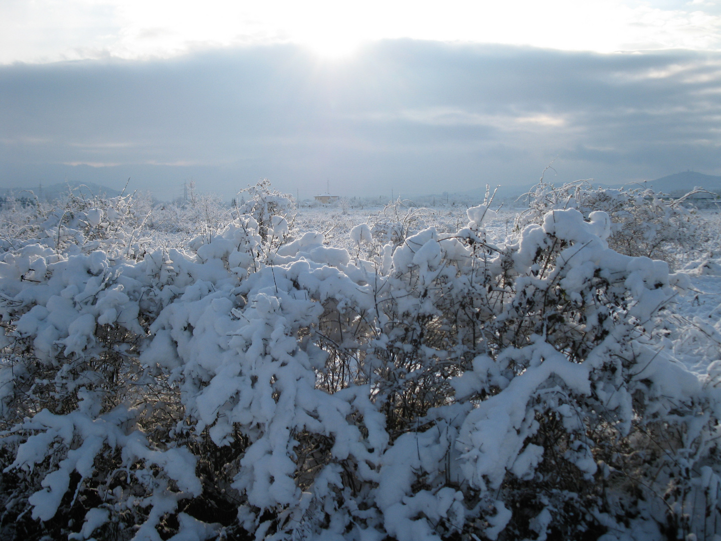 LIGHT THAT PLAY WITH SNOW