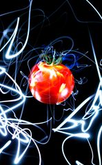 Light Tomato