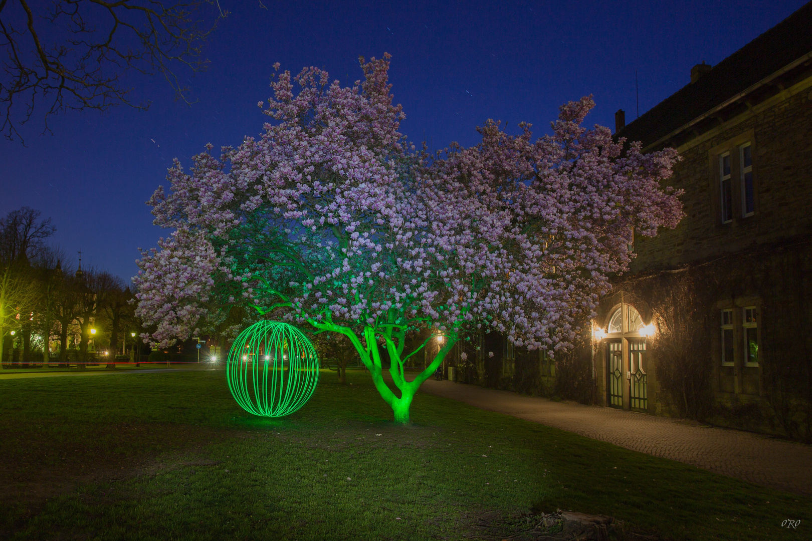 Lightart Hanami