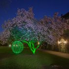 Lightart Hanami