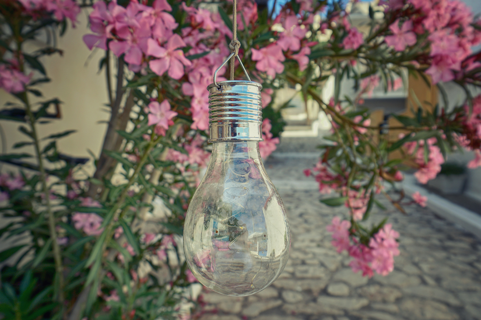 lightbulb