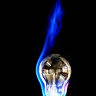 Lighted Bulb