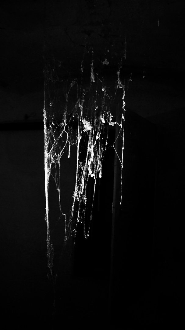 - lighted spider webs -