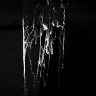 - lighted spider webs -