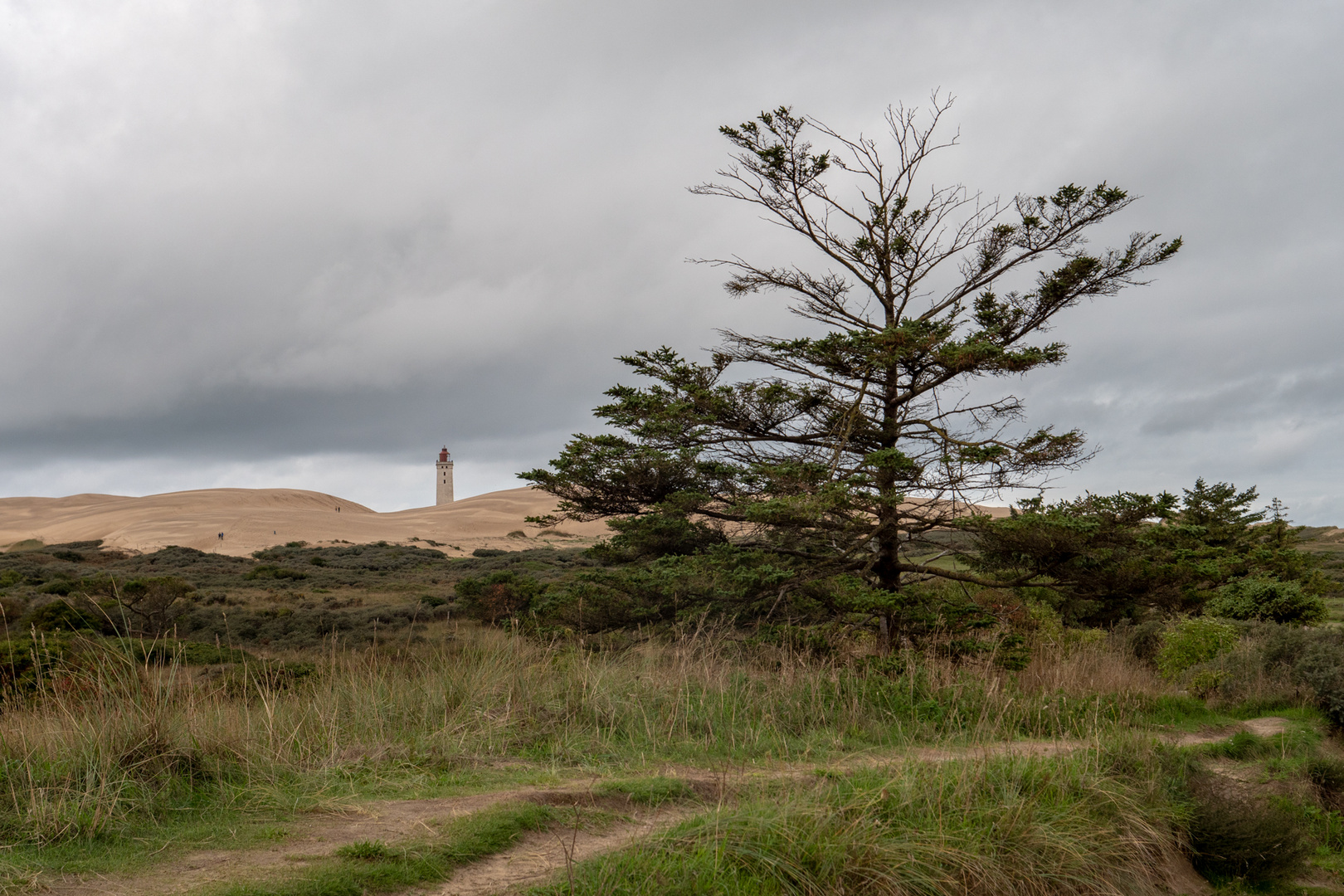 Lighthouse