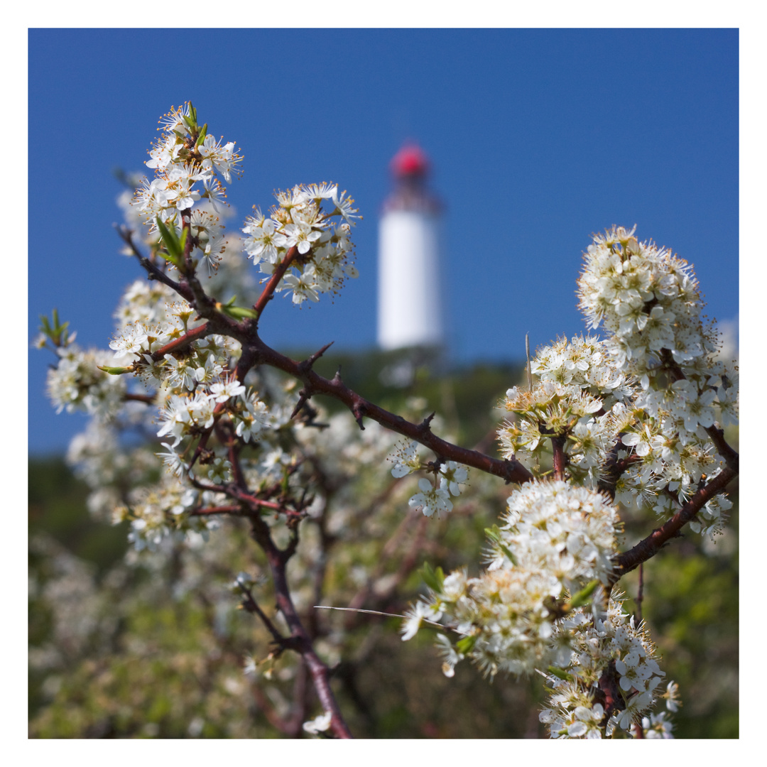 lighthouse