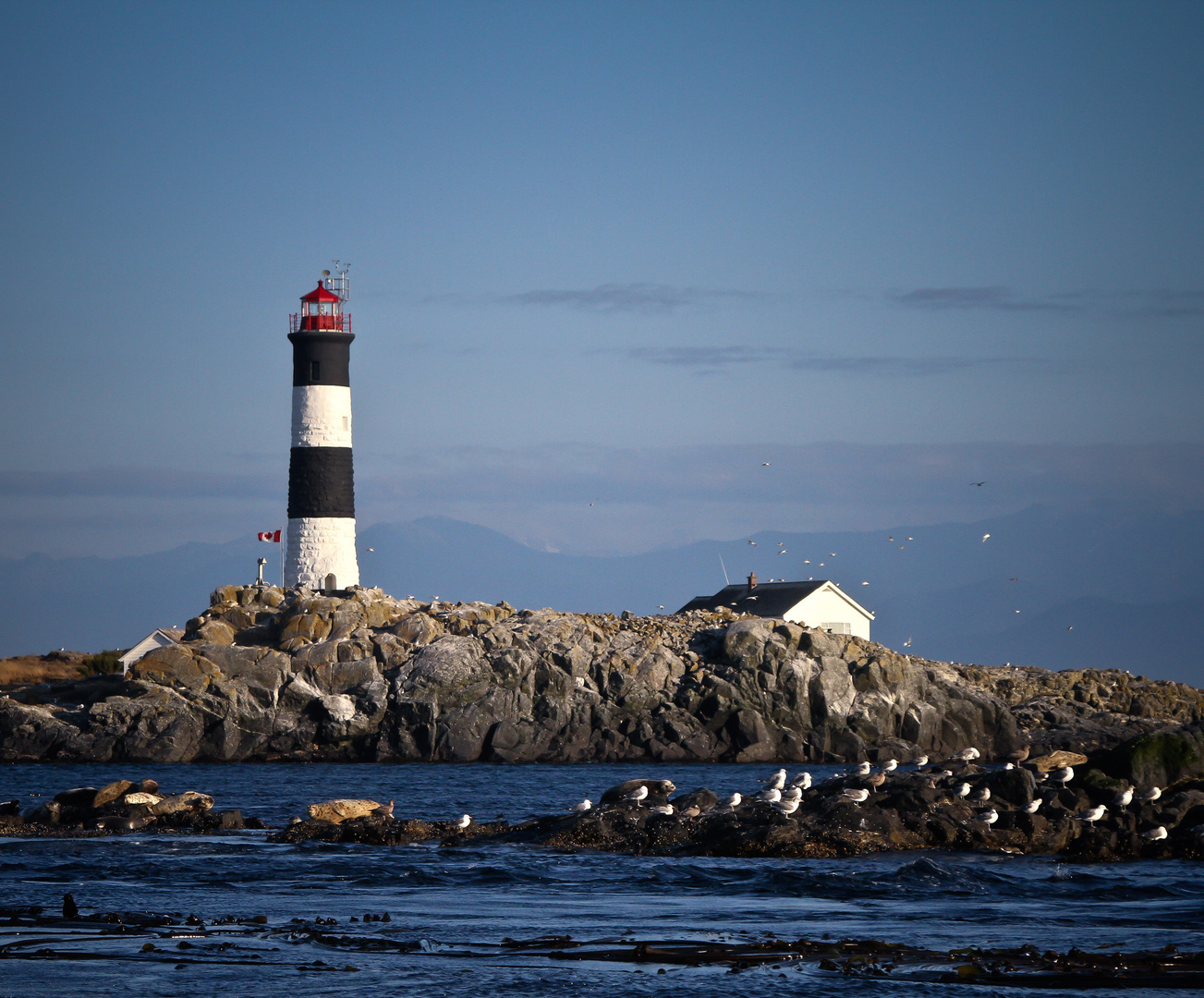 Lighthouse at Race Rocks