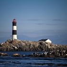 Lighthouse at Race Rocks