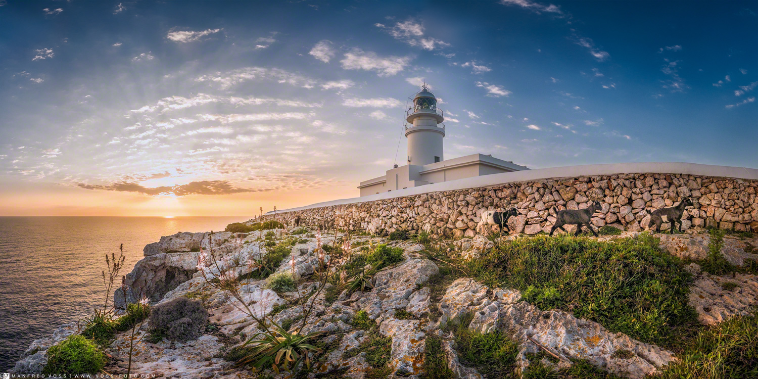 Lighthouse Beautys