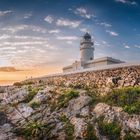 Lighthouse Beautys