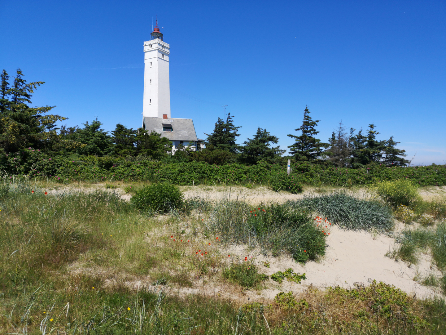 Lighthouse Blåvand 