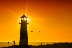 - LIGHTHOUSE Ellenbogen/Sylt -