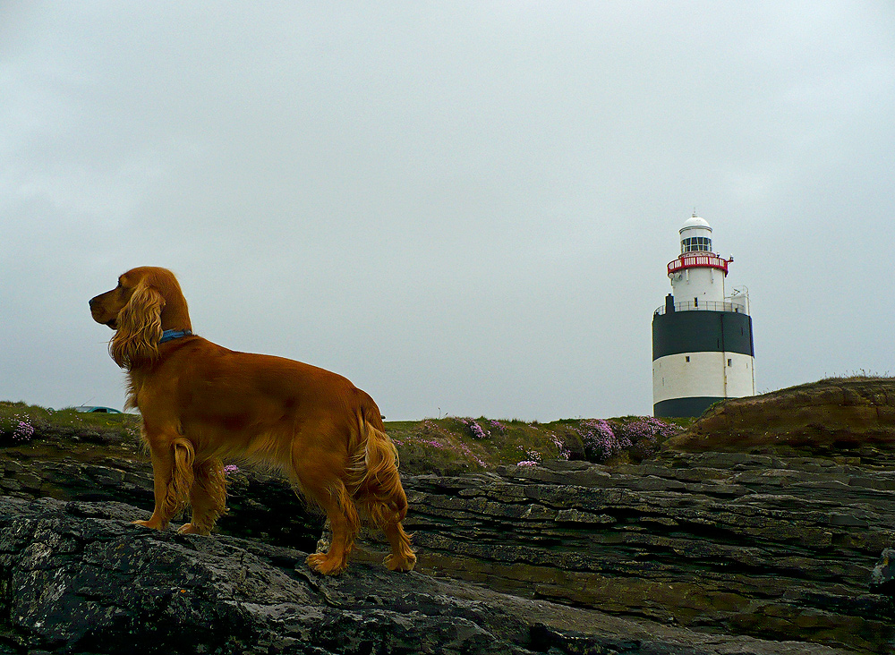 Lighthouse Hook Head....