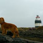 Lighthouse Hook Head....