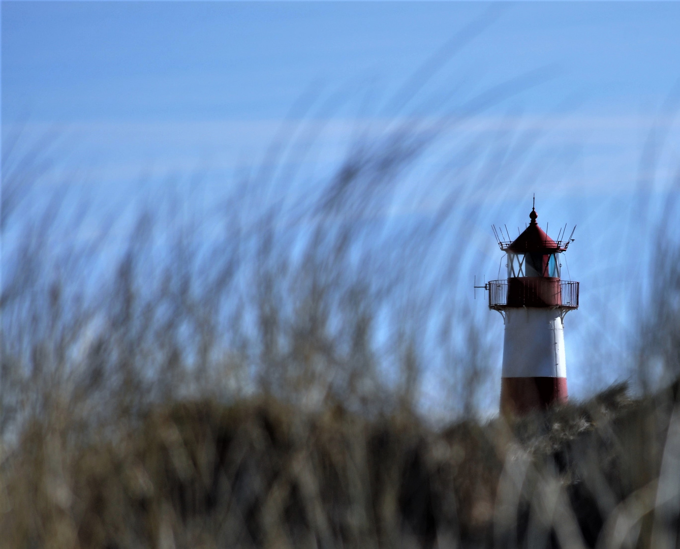 Lighthouse inkognito 