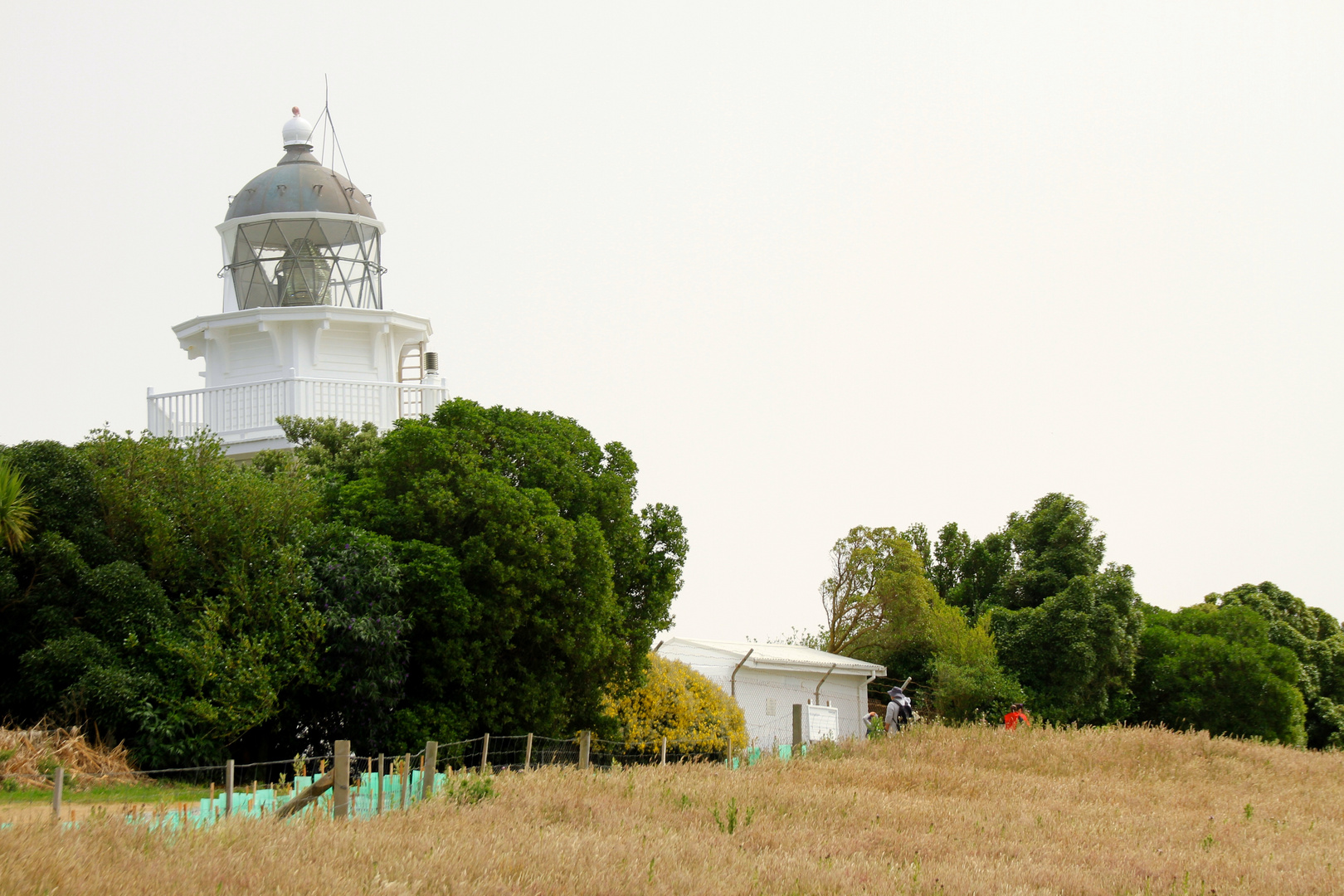 Lighthouse Katiki Moraki Neuseeland (Südinsel)