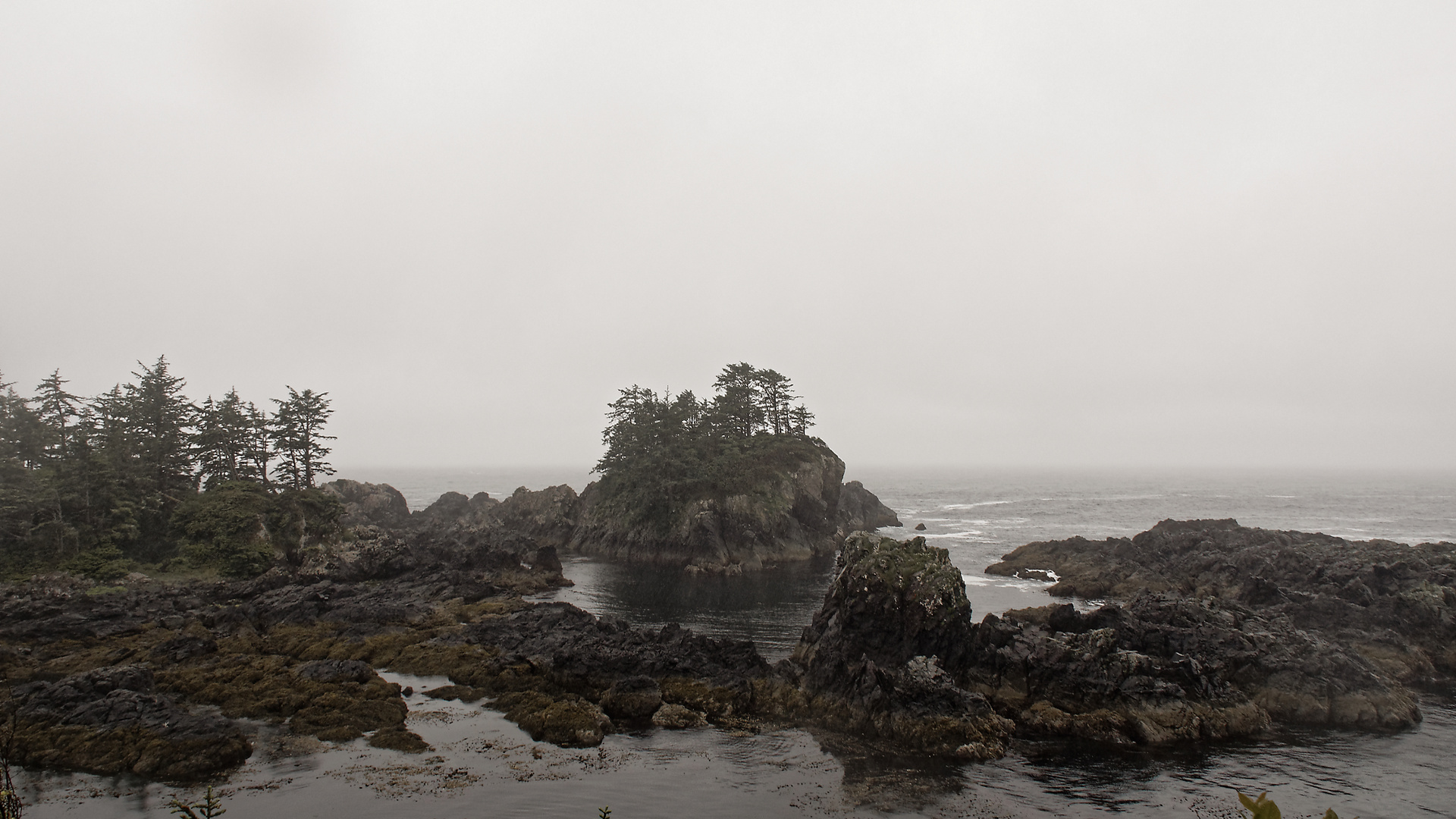 Lighthouse loop Ucluelet