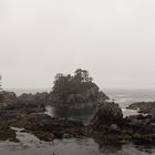 Lighthouse loop Ucluelet