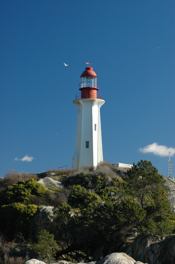 Lighthouse Park West Vancouver