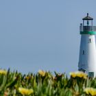 Lighthouse - Seabright State Beach