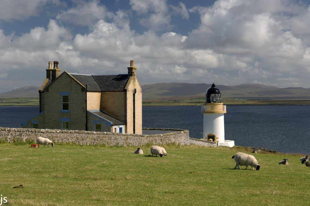 Lighthouse Sheep