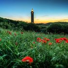 Lighthouse with poppies